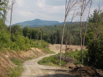 Lake Acreage Off Market in Sutton, Vermont