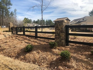 Popular Douglas A plan with 3 main level beds & 2 full baths! - photo 39