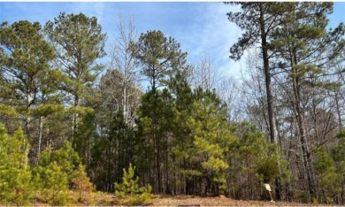 Lake Lot For Sale in Buckhead, Georgia