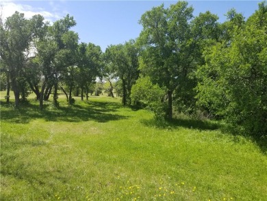 Lake Lot For Sale in Runaway Bay, Texas