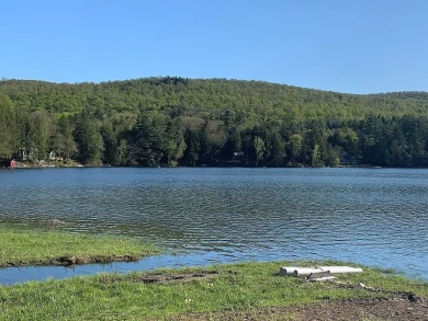 85 Hunt Lake Rd. - photo 23