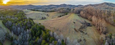 (private lake, pond, creek) Acreage For Sale in Lynx Ohio