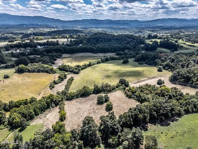 LOCATION, LOCATION, LOCATION! 66.7 ACRES in the City of - photo 19