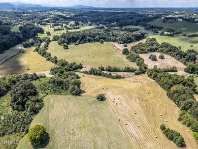 LOCATION, LOCATION, LOCATION! 66.7 ACRES in the City of - photo 24