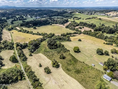 LOCATION, LOCATION, LOCATION! 66.7 ACRES in the City of - photo 28