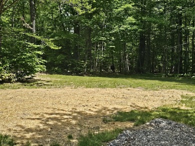 Amazing 4 bedroom , completely furnished! Lots of privacy and - photo 37