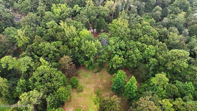 Log-style home on 3.1 country acres in Woolmarket. 3 bed, 2.5 - photo 38
