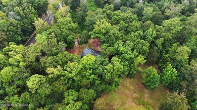 Log-style home on 3.1 country acres in Woolmarket. 3 bed, 2.5 - photo 39