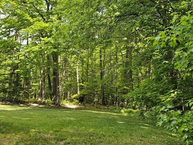 Amazing 4 bedroom , completely furnished! Lots of privacy and - photo 47