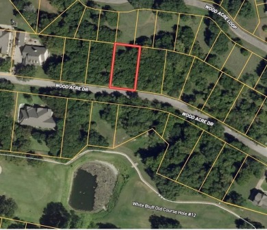 Lake Whitney Lot For Sale in Whitney Texas