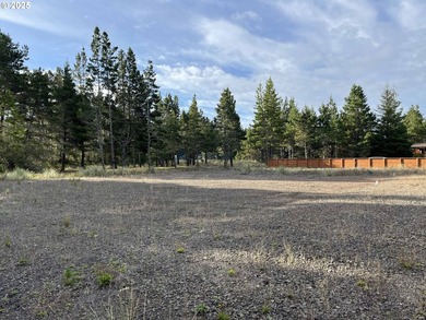 Don't miss this rare opportunity to own a .29-acre lot tucked - photo 13