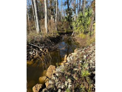 Live independently. Live sustainably. Live surrounded by nature. - photo 18
