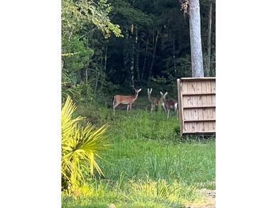 Live independently. Live sustainably. Live surrounded by nature. - photo 19