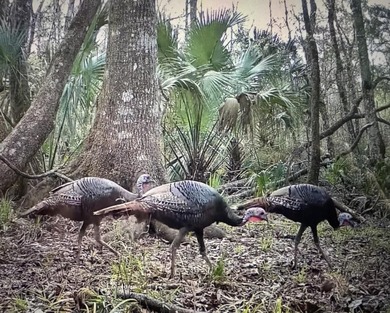 Live independently. Live sustainably. Live surrounded by nature. - photo 20