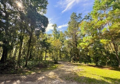Live independently. Live sustainably. Live surrounded by nature. - photo 21