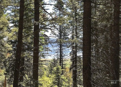 Lake Lot For Sale in Donnelly, Idaho