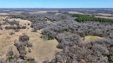 84.48 Acres of Prime Rolling Wooded and Pastureland with 1,168 - photo 8