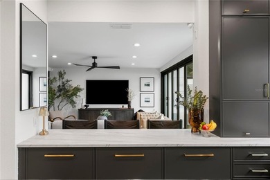 An entertainer's dream in the heart of South Tampa. Tucked away - photo 14
