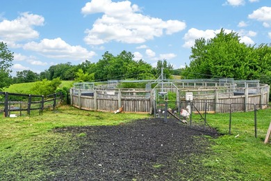 Horse farms of this size and setup are hard to find. Situated on - photo 19