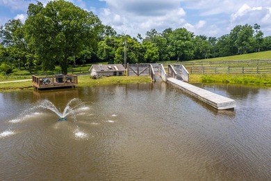 Horse farms of this size and setup are hard to find. Situated on - photo 43