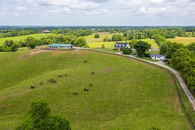 Horse farms of this size and setup are hard to find. Situated on - photo 44