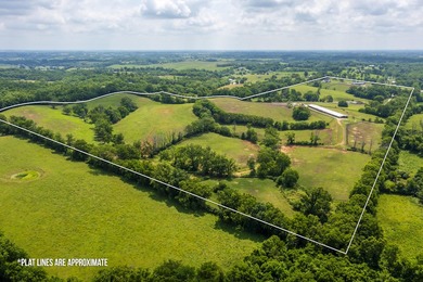 Horse farms of this size and setup are hard to find. Situated on - photo 45