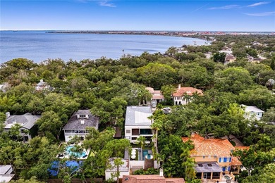 An entertainer's dream in the heart of South Tampa. Tucked away - photo 46