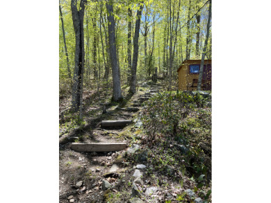 Blue Lake Retreat - photo 5