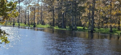 Lake Ocklawaha Home Sale Pending in Fort Mccoy Florida