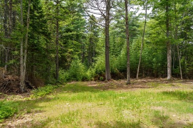 This 3.47 acre waterfront building lot offers a rare opportunity - photo 8