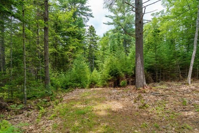 This 3.47 acre waterfront building lot offers a rare opportunity - photo 9
