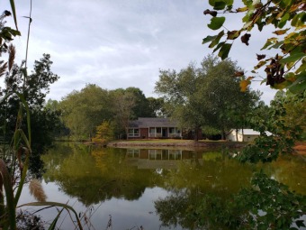 (private lake, pond, creek) Acreage For Sale in Portal Georgia