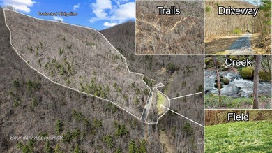 (private lake, pond, coastal) Acreage For Sale in Marshall North Carolina