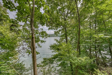 Lake Lot For Sale in Gray, Tennessee