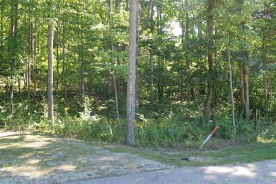 Lake Michigan - Emmet County Lot For Sale in Harbor Springs Michigan