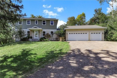 Lake Home For Sale in Wyoming, Minnesota