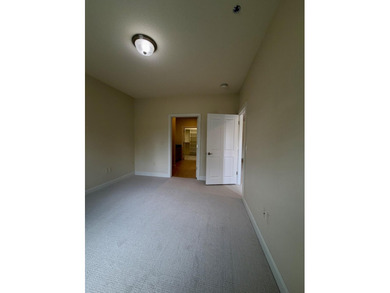 Located in the heart of downtown, walking distance to endless - photo 8