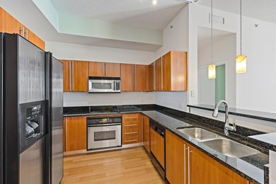 2 parking spaces PLUS valet! Penthouse-level living with 10' - photo 4