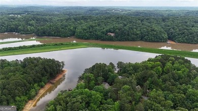 || LAKE LANIER LIFESTYLE || 2-STORY PRIVATE DOCK || OVER 2 ACRES - photo 7
