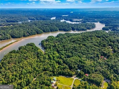 || LAKE LANIER LIFESTYLE || 2-STORY PRIVATE DOCK || OVER 2 ACRES - photo 9