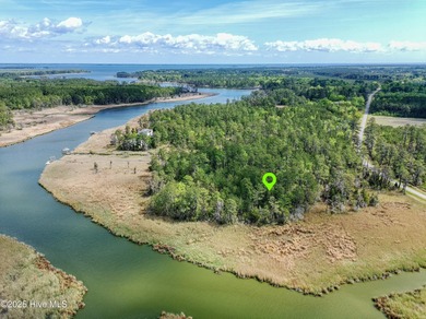 Pamlico River Lot For Sale in Aurora North Carolina