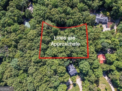 Lake Lot For Sale in Blairsville, Georgia