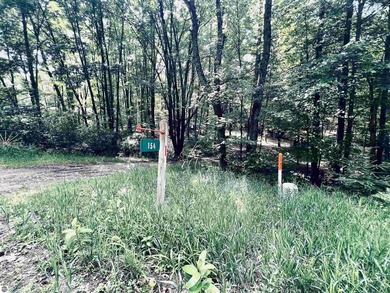 Nestled among beautiful mature trees, this well taken care of 3 - photo 37