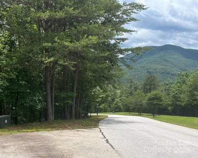 Beautiful building lot with big, bold mountain viewse build your - photo 1
