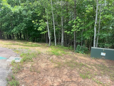 Beautiful building lot with big, bold mountain viewse build your - photo 3