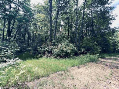 Nestled among beautiful mature trees, this well taken care of 3 - photo 43