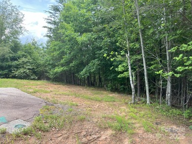 Beautiful building lot with big, bold mountain viewse build your - photo 4