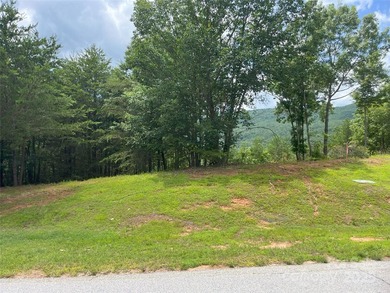 Beautiful building lot with big, bold mountain viewse build your - photo 6