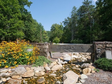Beautiful building lot with big, bold mountain viewse build your - photo 10