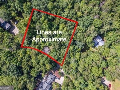 Lake Lot For Sale in Blairsville, Georgia